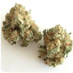 Шишки "White Widow" (Белая вдова) Гидропоника - Бошка VHQ в Заводоуковске Шишки "White Widow" (Белая вдова) Гидропоника - Бошка VHQ в Заводоуковске