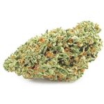 Шишки OG Kush (Гидропоника, бошки) VHQ в Заводоуковске Шишки OG Kush (Гидропоника, бошки) VHQ в Заводоуковске